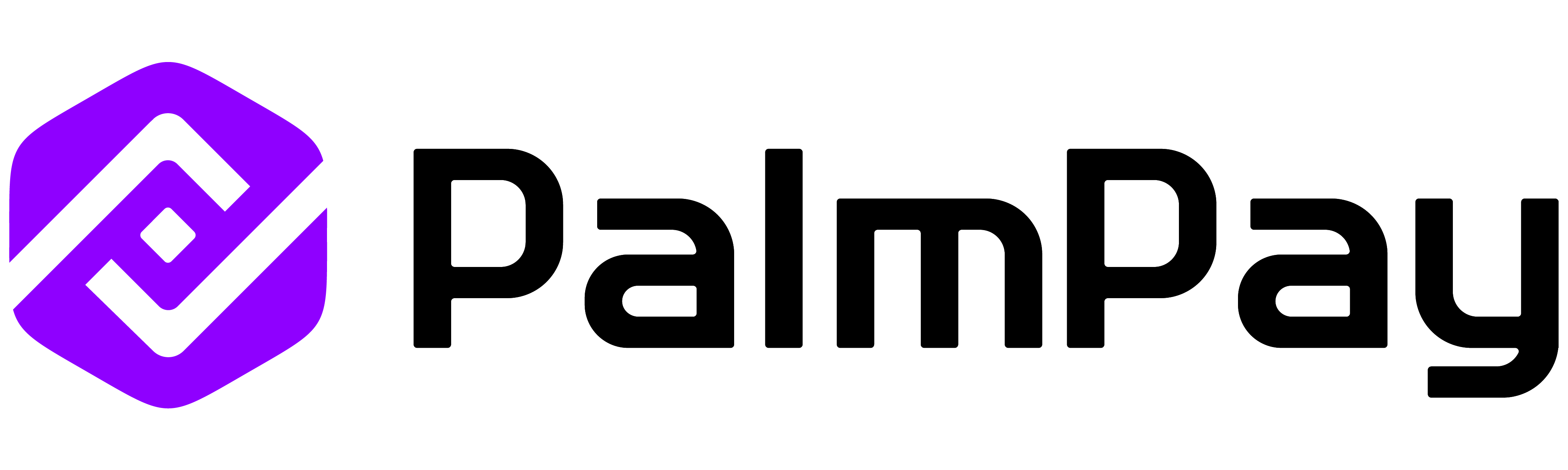 Palmpay Payment Options
